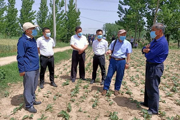 公司“送技术，送温暖” 扎实开展“双百扶贫”活动