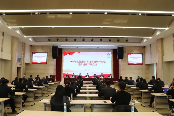 山东省科创集团召开党委（扩大）会议分别听取2024年度党组织书记全面从严治党述责述廉和抓基层党建工作述职